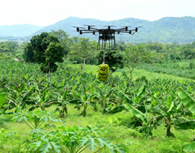 Commercial Produce & Seafood Transport